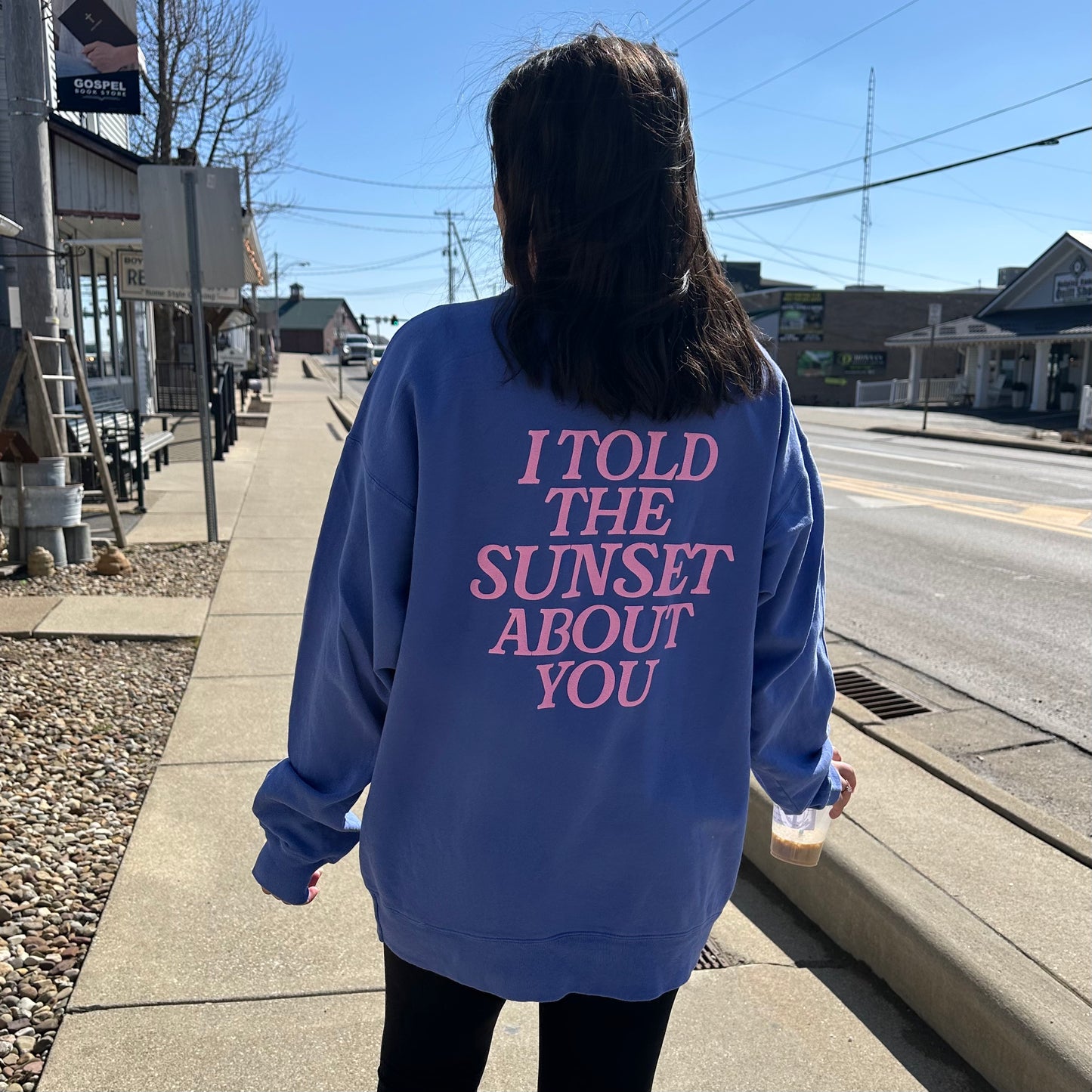 I Told The Sunset Sweatshirt or T-Shirt