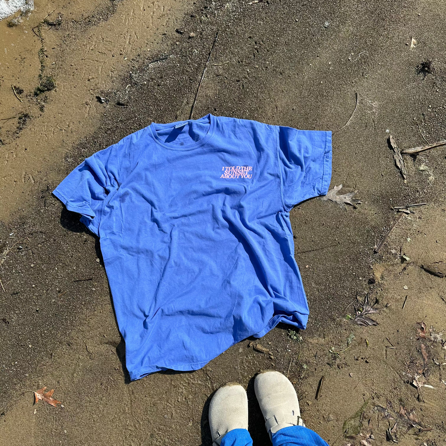 I Told The Sunset Sweatshirt or T-Shirt