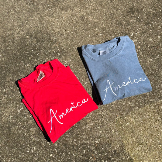 America Embroidered T-Shirt
